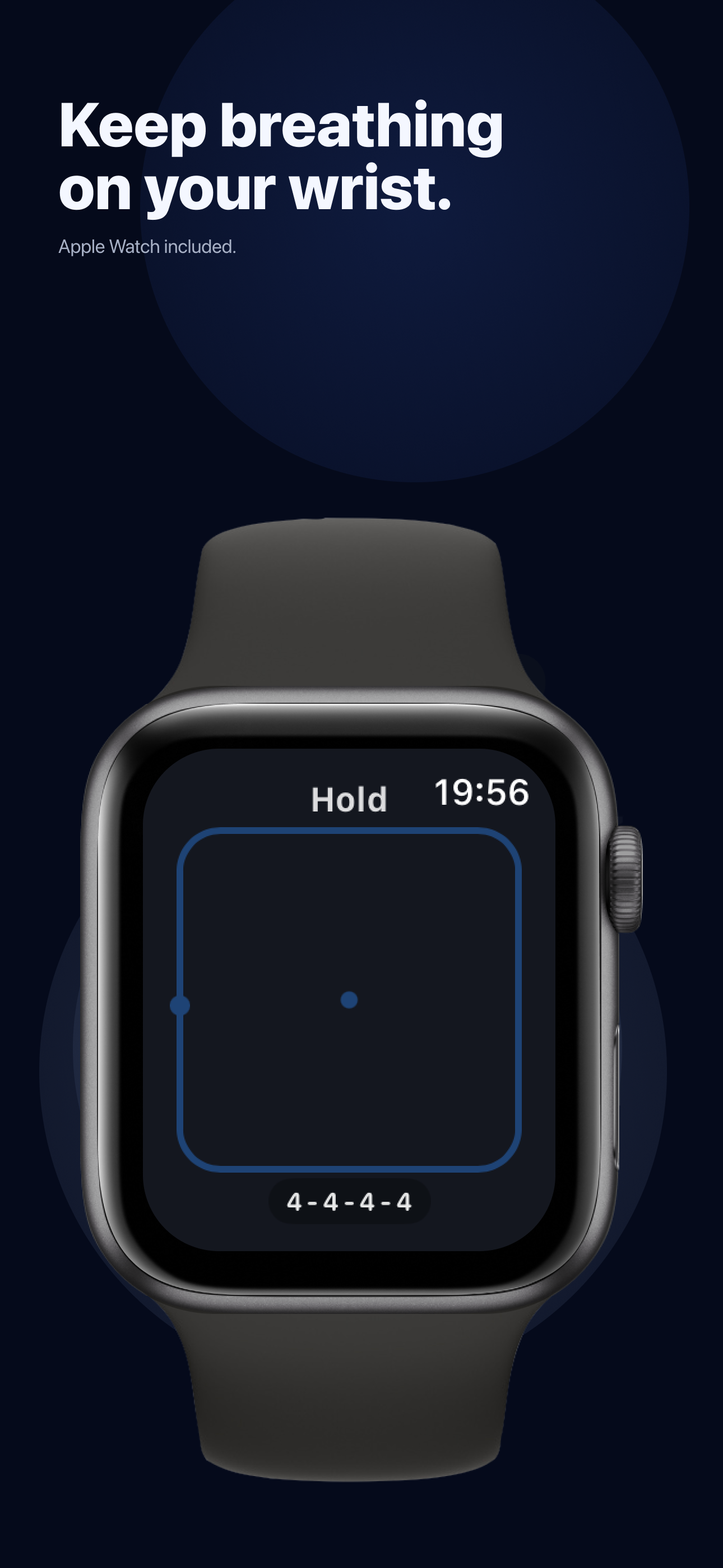 Evenhale screenshot 4